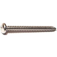 4597373 - #10X2 SS PAN TAP SCRW PHL
