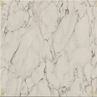4748489 - VINYL FLOOR TILE WHITE MARBLE