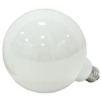 4931077 - 60W G40 GLOBE BULB WHITE