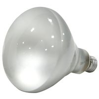 4947149 - 50W BR40 HALOGEN FLOOD BULB