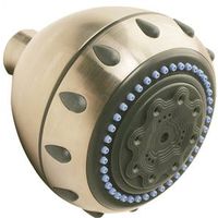 five function shower head, nickel