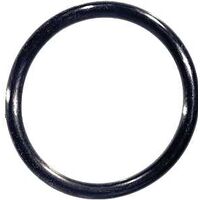 100 O Ring Bag        