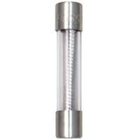 5107495 - TIME DELAY FUSE 10 AMP