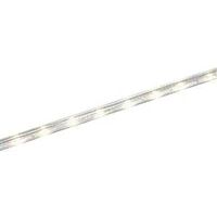Flexolight Ropelight, 12' Clear