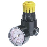 5268230 - 1/4IN MINI REGULATOR