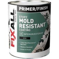 5306493 - MILDEW ELIMINTNG PRIMER/FINISH