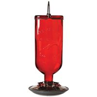 RED ANTIQUE BOTTLE HUMMINGBIRD FEEDER GLASS 16OZ