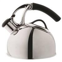 5397229 - TEA KETTLE STAINLESS STEEL