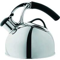 Tea Kettle, Stainless Steel