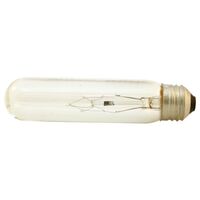 bulb clear, 60 watt t10     