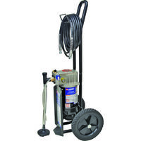 Hose, S200G Spraygun, 2/3 Hp 25 