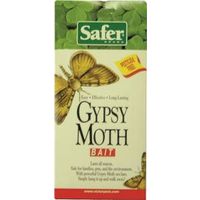 gypsy moth bait