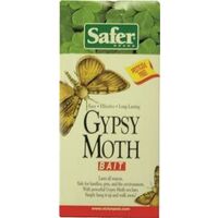 Gypsy Moth Bait