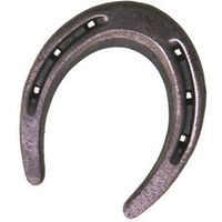 5718531 - HORSESHOE TOE WEIGHT SHOE