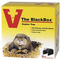 Victor The Blackbox 0625 Choker Loop Style Gopher Trap