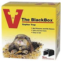 Black Box Gopher Trap