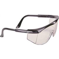 MSA Safety 697550 Sierra Safety Glasses