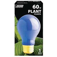 plant bulb, 60 watt       