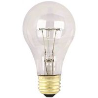 rough service bulb, 100 watt   