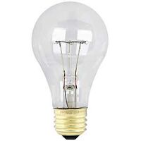 rough service bulb, 100 watt   