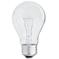 soft white incandescent bulb, 60 watt