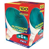 6050561 - 100W PAR GREEN FLOODLIGHT