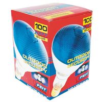 6050579 - 100W PAR BLUE FLOODLIGHT