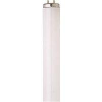fluorescent cool white bulb, 20 watt