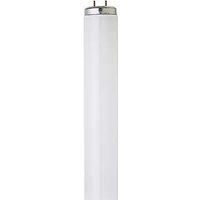 fluorescent cool white bulb, 20 watt