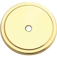 6080691 - BACKPLATE