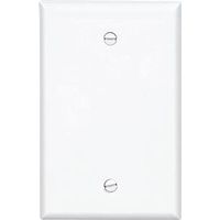 6088587 - 1G WHT BOX MOUNT BLANK PLATE