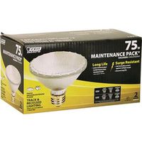 par 30 halogen floodlight, 75 watt