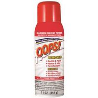 6104657 - OOPS! AEROSOL ALL-PURP REMOVER