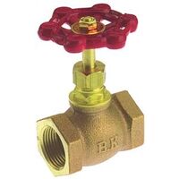 ip brass globe valve, 1/2in.   