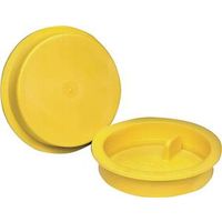 6154736 - 2IN INSET TEST CAP