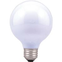 Daylight Decorative Light Bulb, 60W