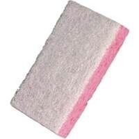 Safe Scrub Sponge       