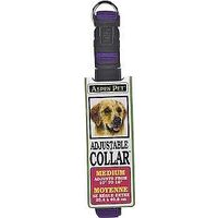 Collar Nylon Blue Adjustable 10 Up  