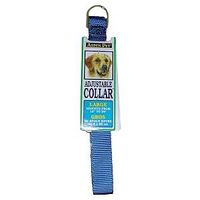 collar nylon blue adjustable 