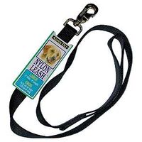 Nylon Leash, Black 1in. x 4