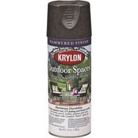 Outdoor Spaces Spray Paint, 12 oz Black