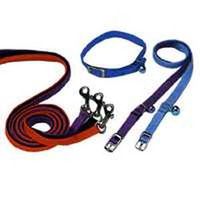 collar cat, blue        