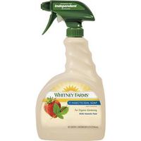 6181143 - INSECTICIDAL SOAP RTU 32OZ