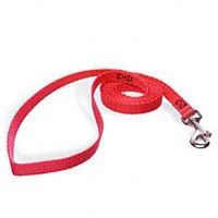 leash cat red         