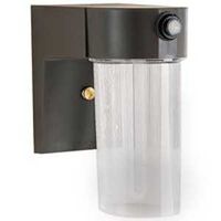 HID CFL Security Light