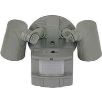 Motion Light, Gray