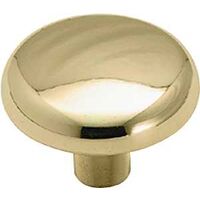 bright brass shenandoah knobs