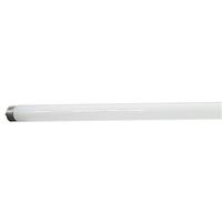 BULB FLUOR CWHT ECO 8FT T8 59W