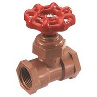 6230338 - 1/2FIP CELCON GLOBE VALVE