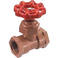 Fip Celcon Globe Valves, 1/2"  